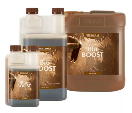 BioBOOST