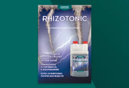 Папка RHIZOTONIC