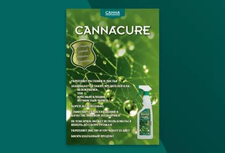 Папка CANNACURE