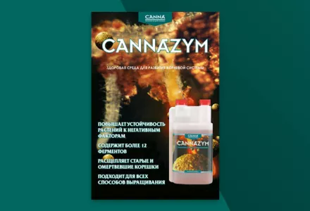 Папка CANNAZYM