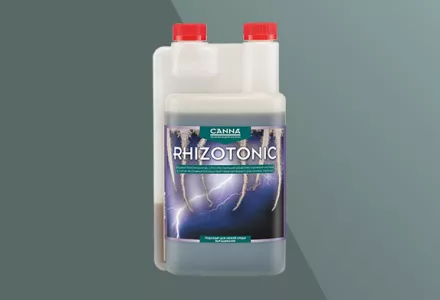 CANNA RHIZOTONIC