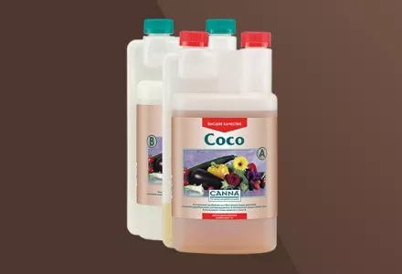 CANNA Coco A & B