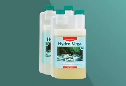 CANNA Hydro Vega