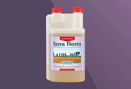 CANNA Terra Flores